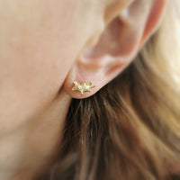 Kitten Ear Studs
