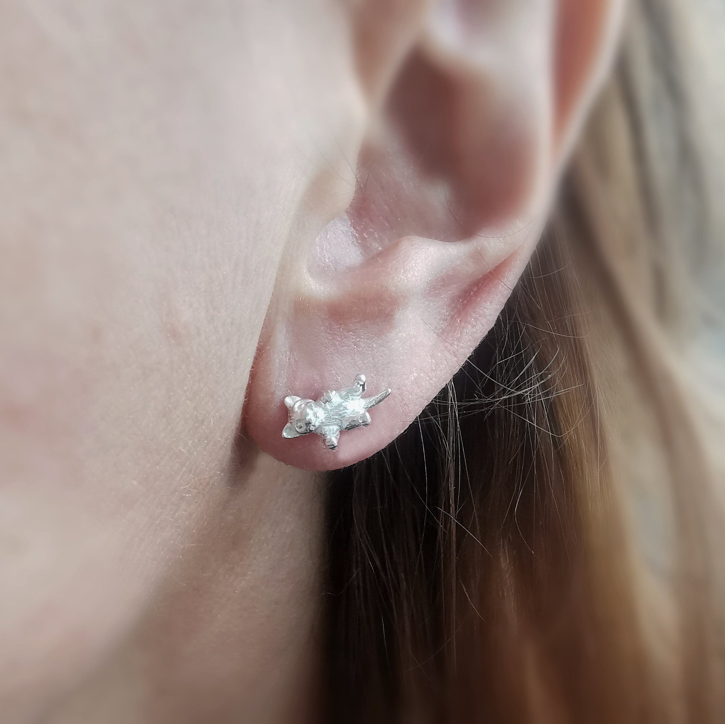 Kitten Ear Studs