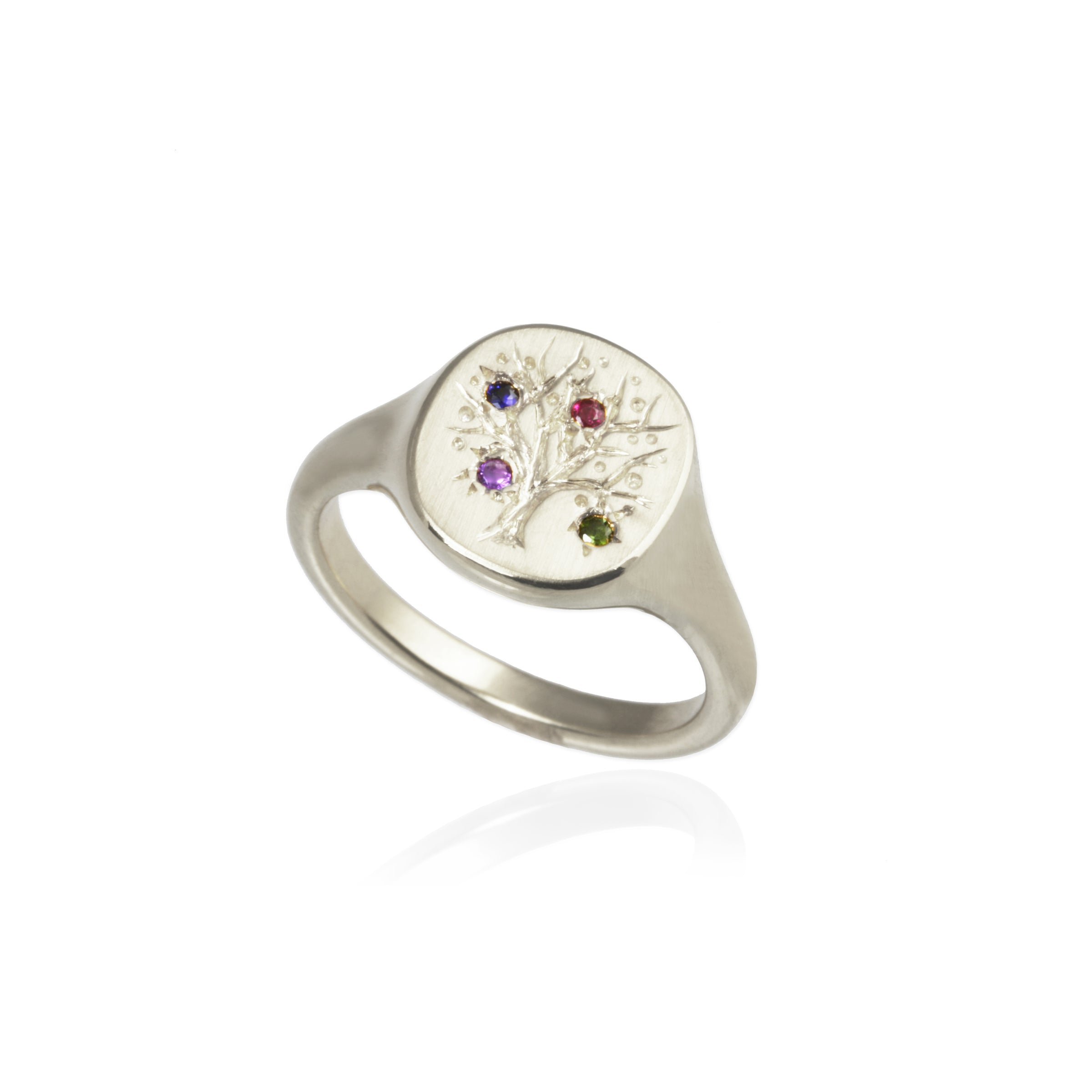 Family Tree Ring with Birthstones - Jana Reinhardt Ltd