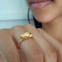 Chameleon Ring - Jana Reinhardt Ltd