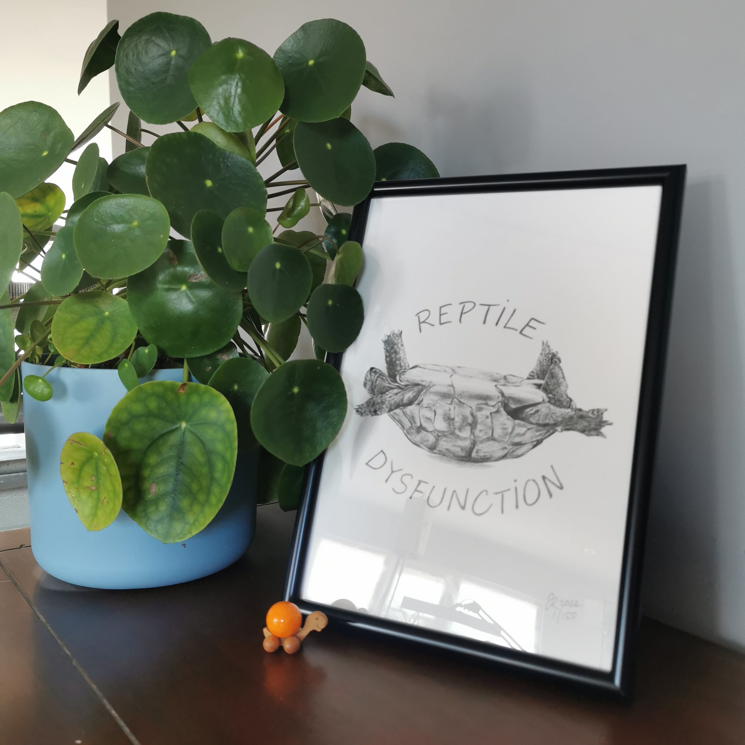 Tortoise Art Print - Jana Reinhardt Ltd