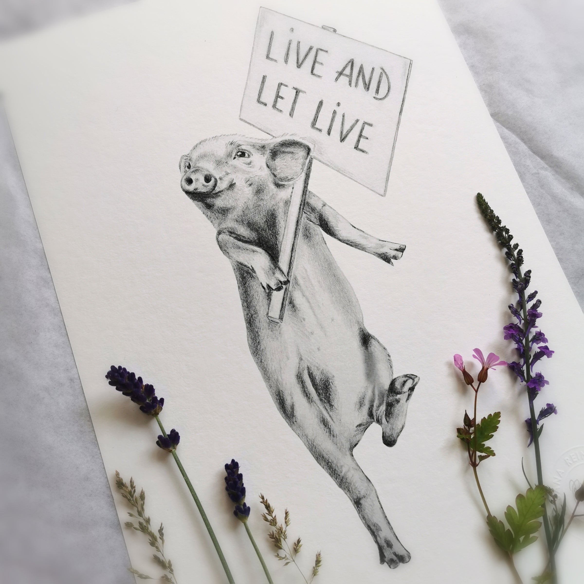 Piglet Art Print - Jana Reinhardt Ltd