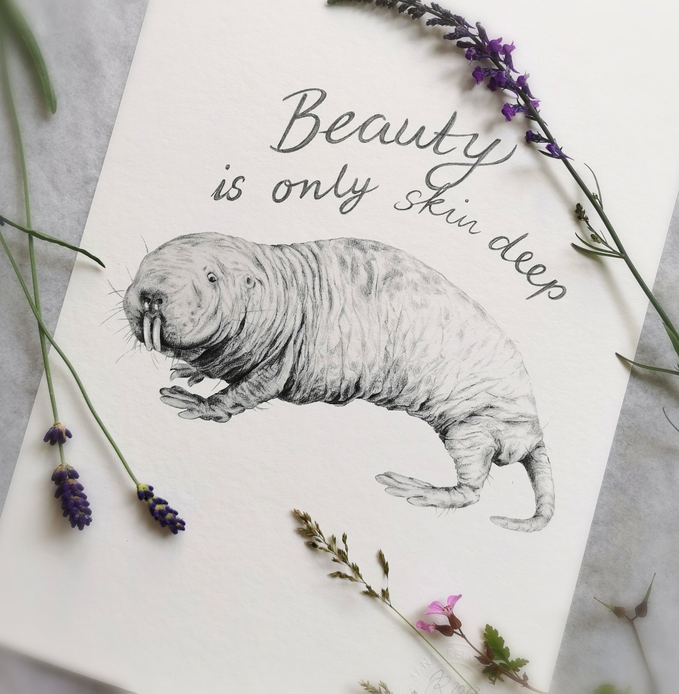 Naked Mole-Rat Art Print - Jana Reinhardt Ltd