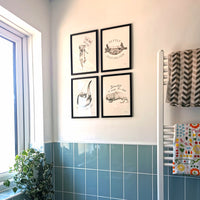 Naked Mole-Rat Art Print - Jana Reinhardt Ltd