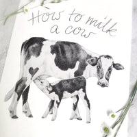 Cow Art Print - Jana Reinhardt Ltd
