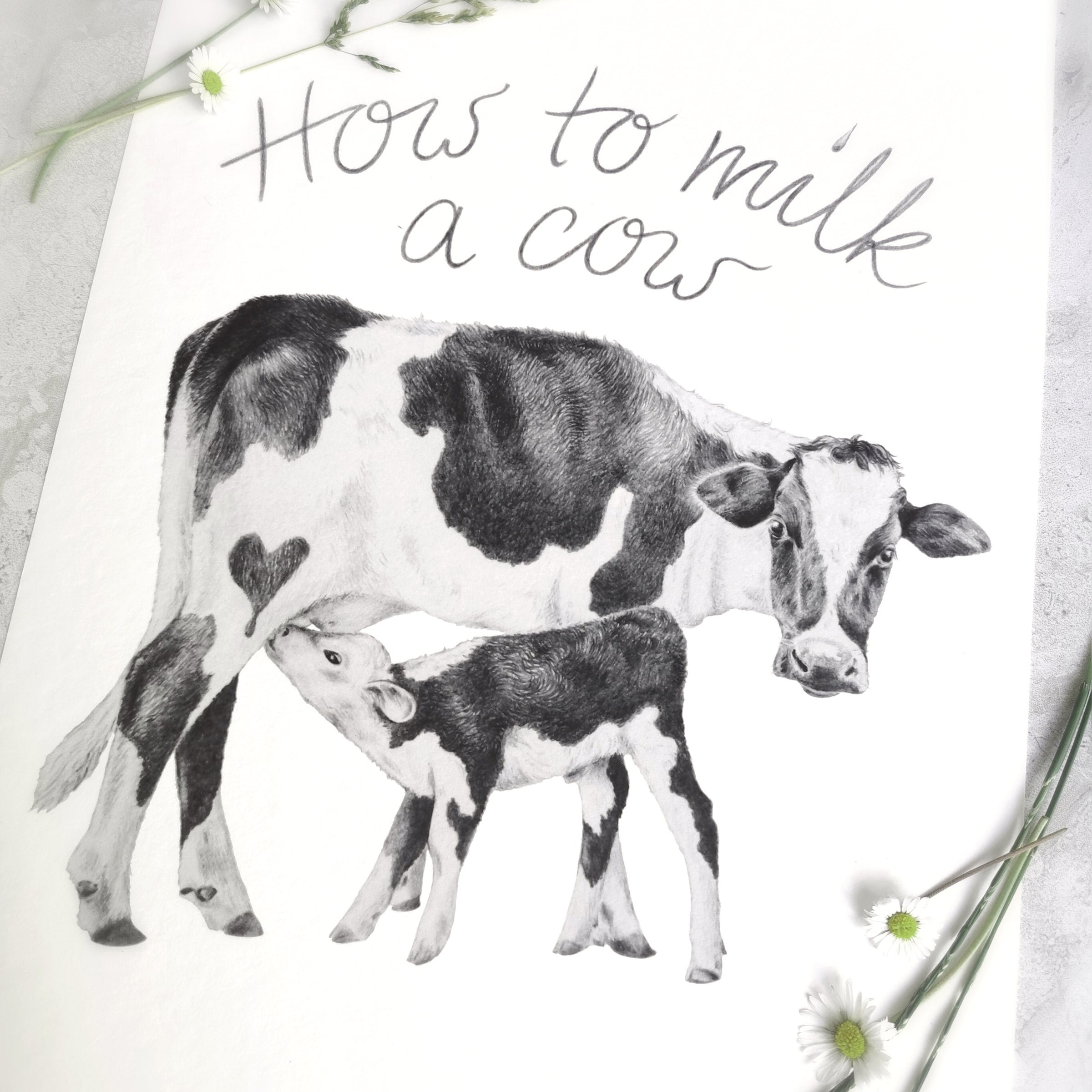 Cow Art Print - Jana Reinhardt Ltd