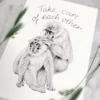 Monkey Art Print - Jana Reinhardt Ltd