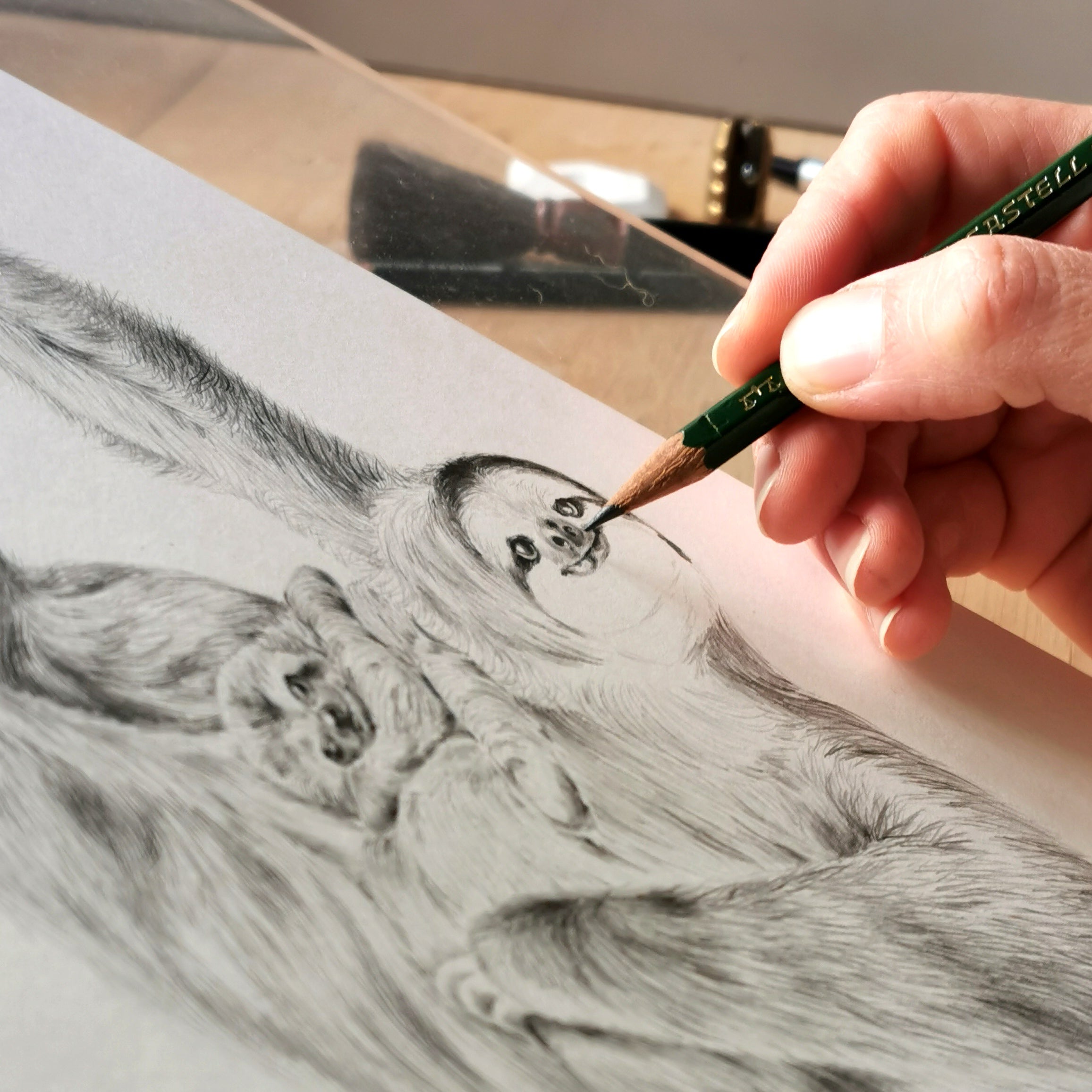 Sloth Art Print - Jana Reinhardt Ltd