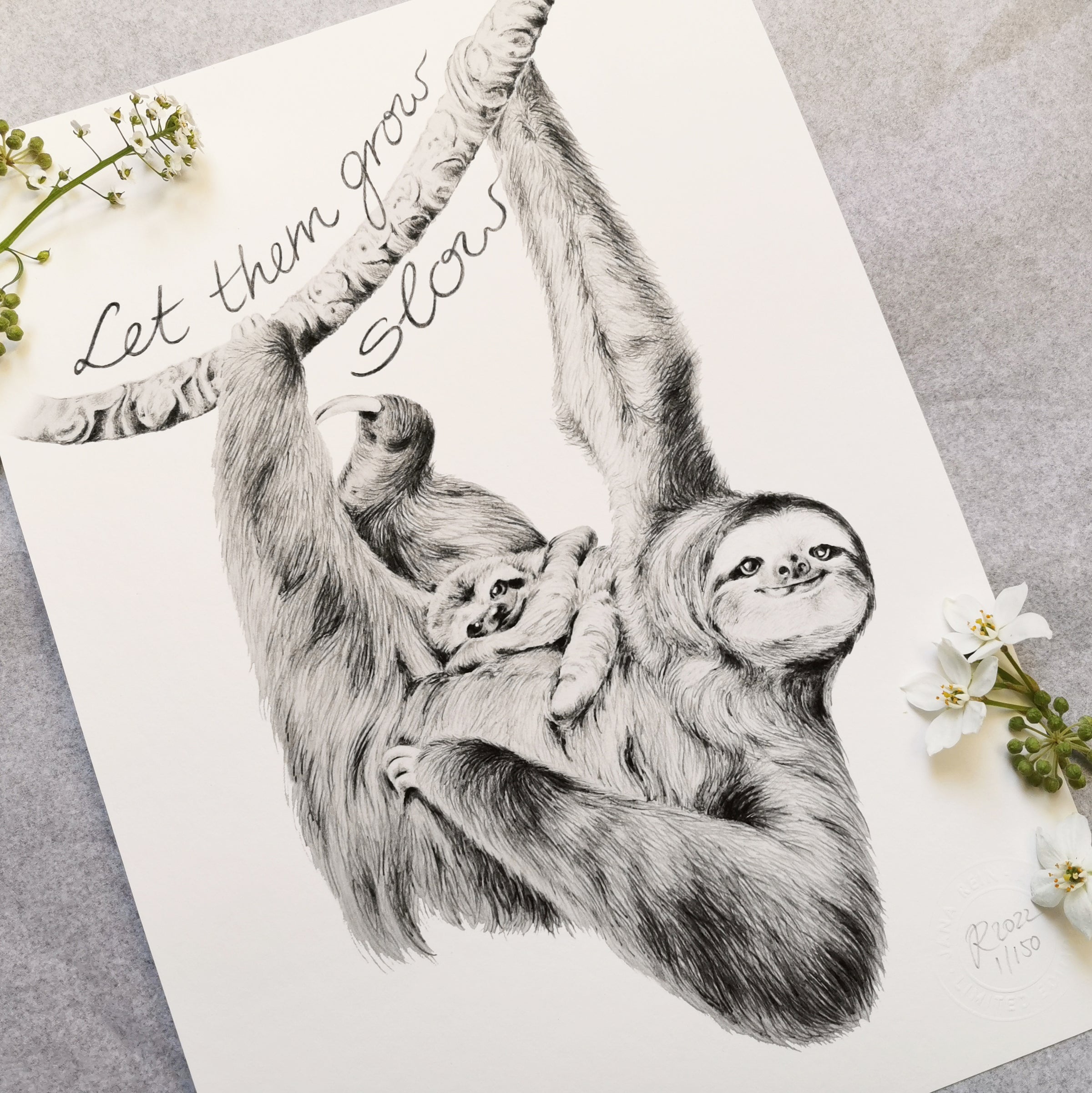 Sloth Art Print - Jana Reinhardt Ltd