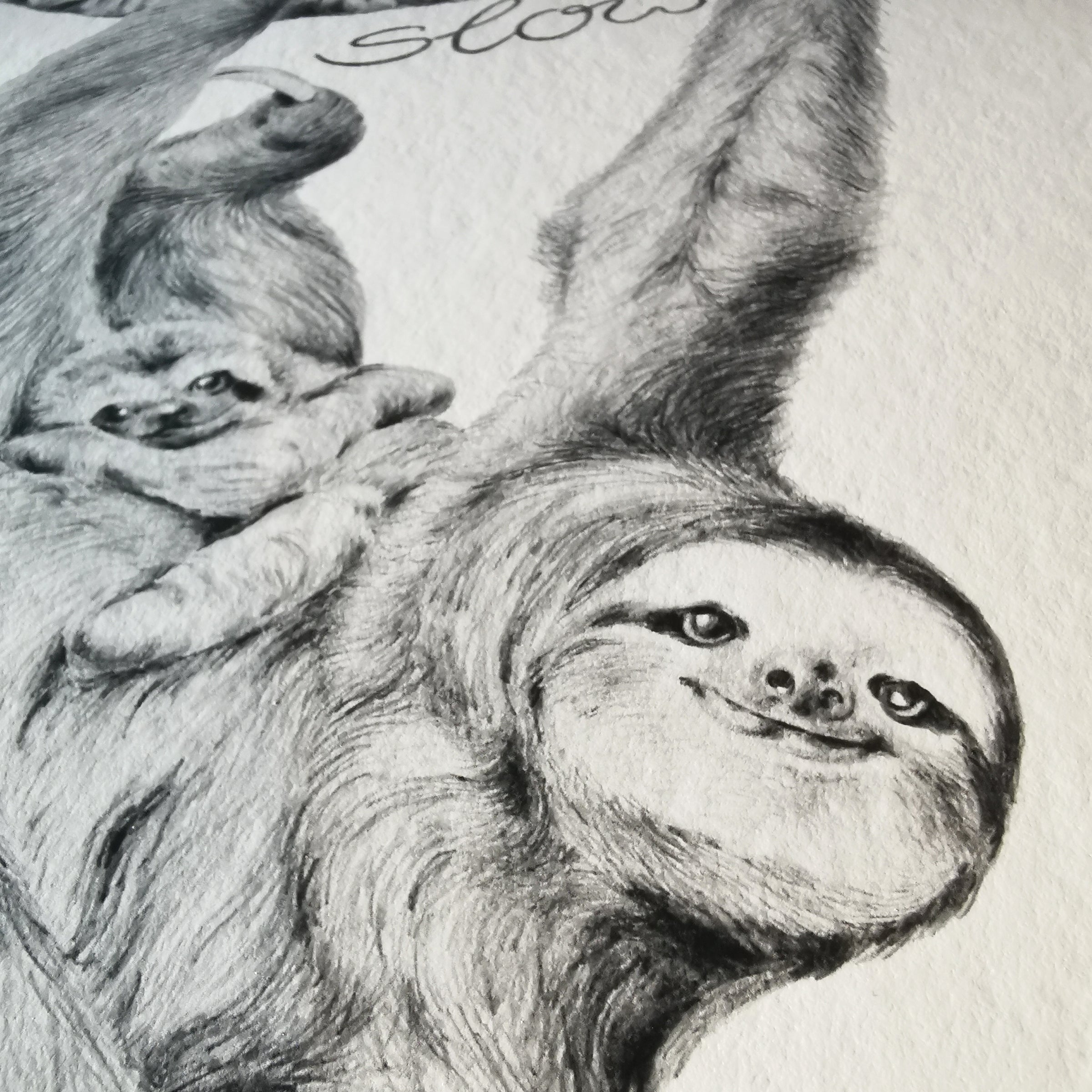 Sloth Art Print - Jana Reinhardt Ltd