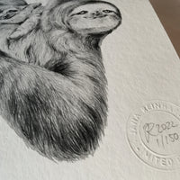 Sloth Art Print - Jana Reinhardt Ltd