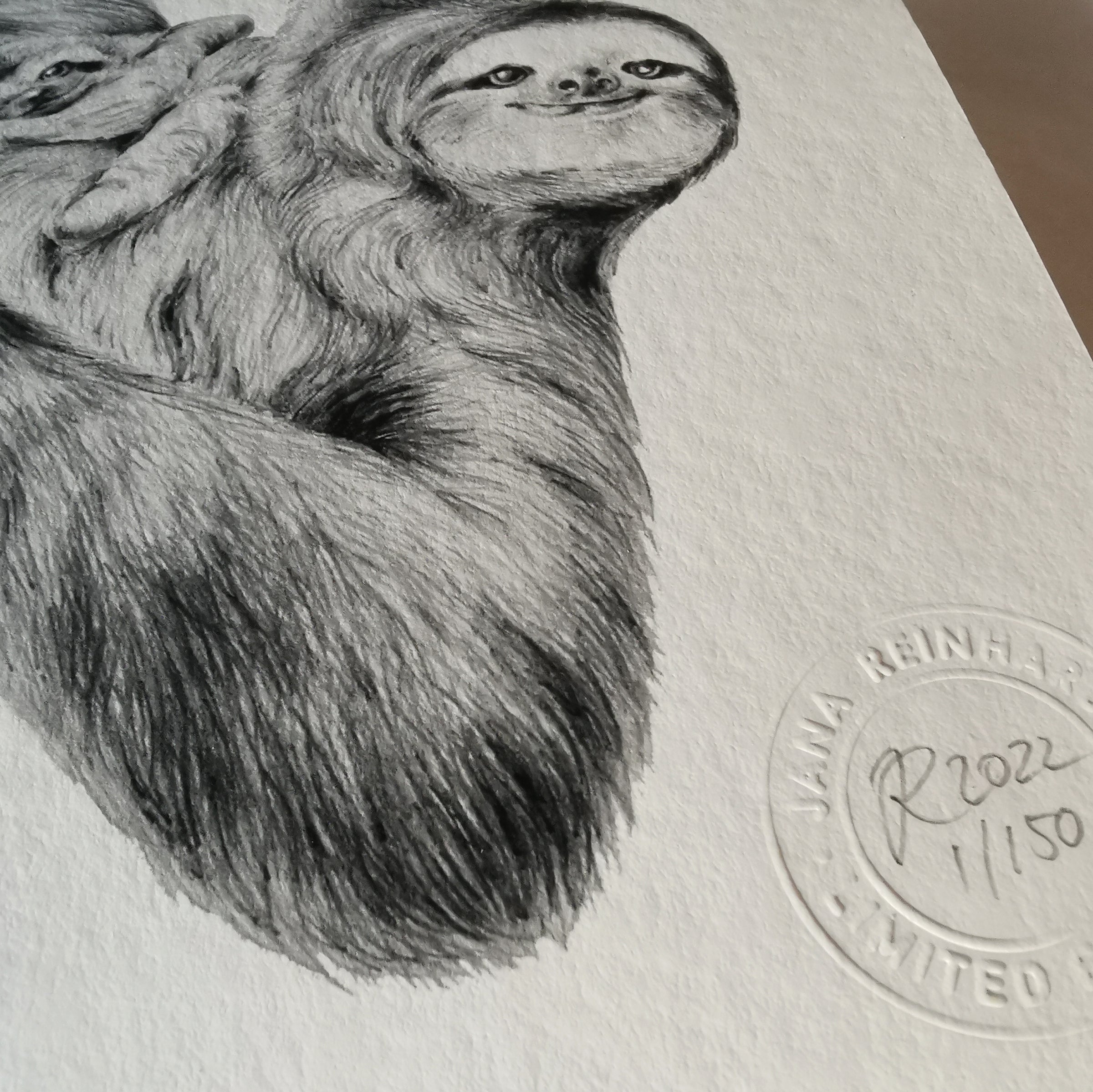 Sloth Art Print - Jana Reinhardt Ltd