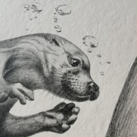 Otter Art Print - Jana Reinhardt Ltd