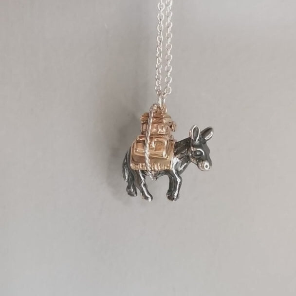 Collar de burro de edición limitada 