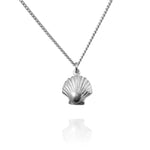 Shell Charm