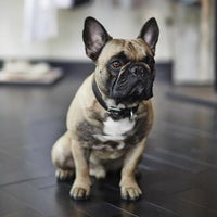 Bespoke Silver French Bulldog Keyring - Jana Reinhardt Ltd