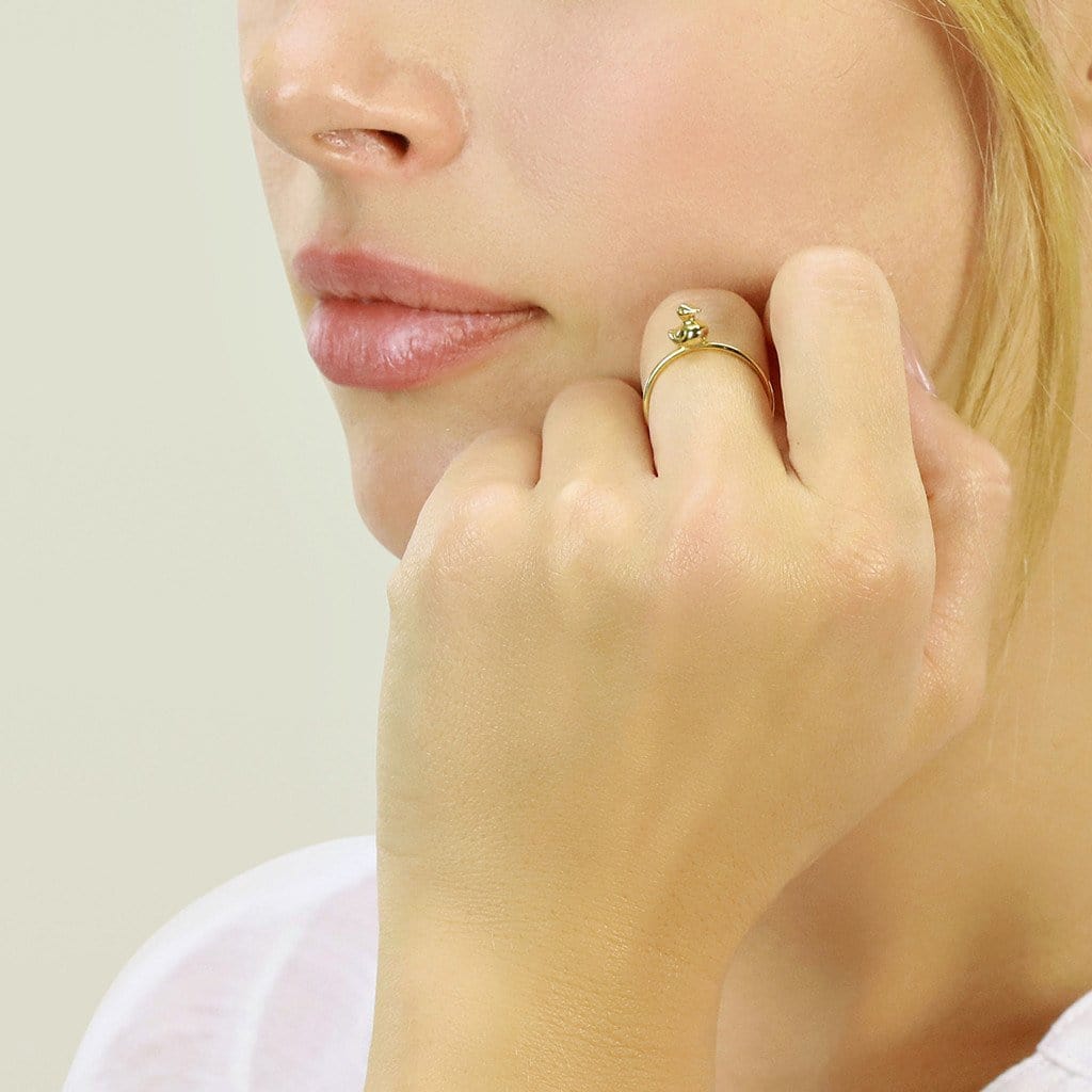 Anillo de pato 