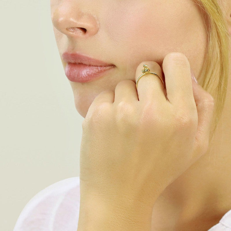 Anillo de pato 