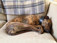 Greyhound/Whippet Brooch - Jana Reinhardt Ltd