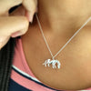 Collar Leona y Cachorro