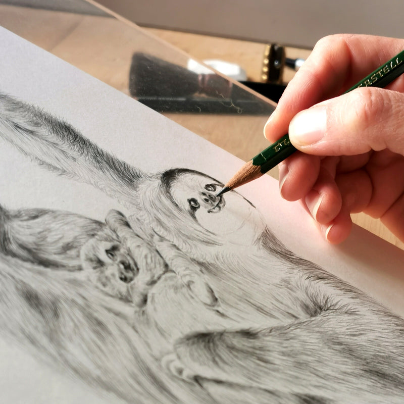 Sloth Art Print