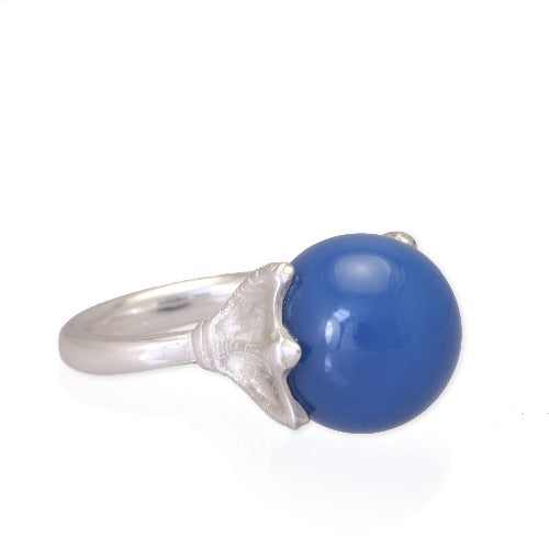 Anillo piquero de patas azules