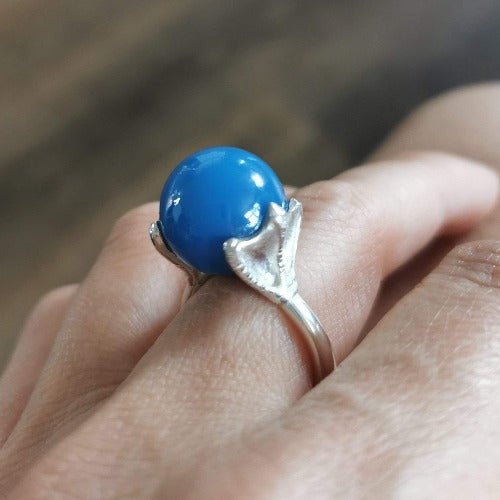 Anillo piquero de patas azules