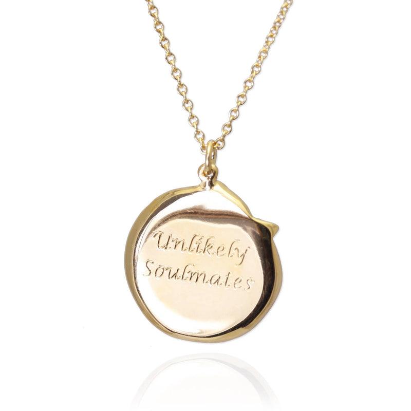 Collar de perro y gato 