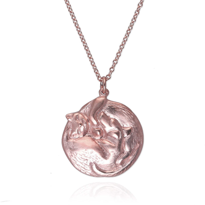 Collar de perro y gato 