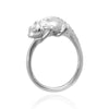 Anillo Camaleón