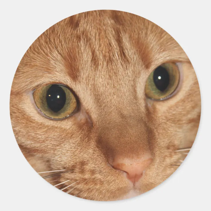Fitted photos for lockets